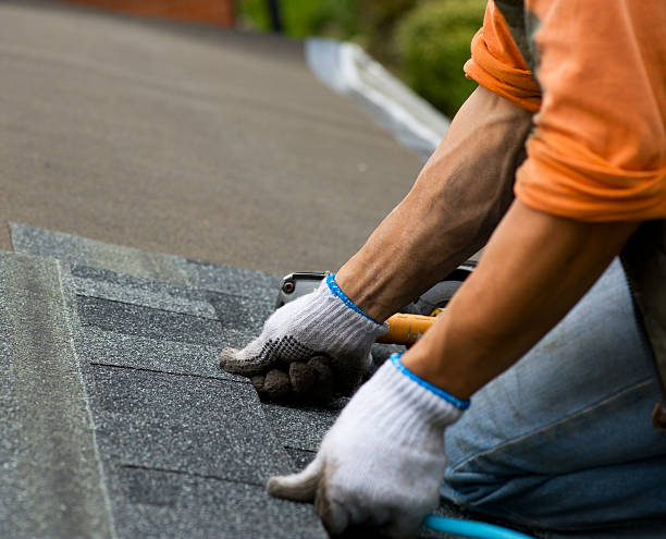Best Residential Roofing Contractor  in Punta Gorda, FL