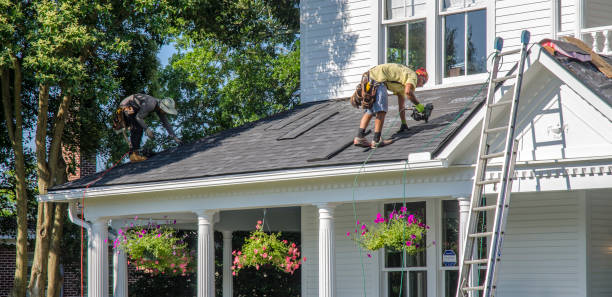 Roof Gutter Cleaning in Punta Gorda, FL